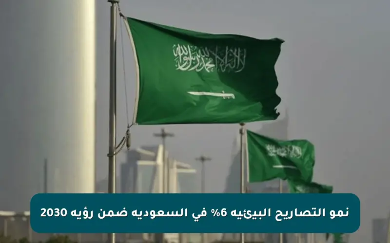 نمو التصاريح البيئية 6% في السعودية ضمن رؤية 2030